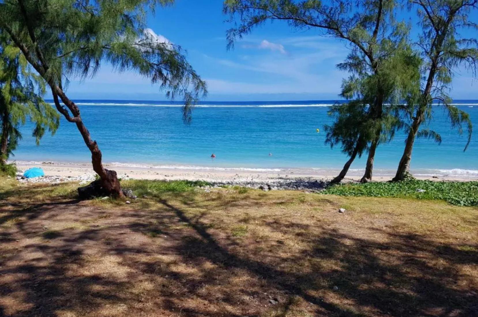 Le Tamarin Bleu - Studio A 300 M De La Plage La Saline Le Bains Esterno foto
